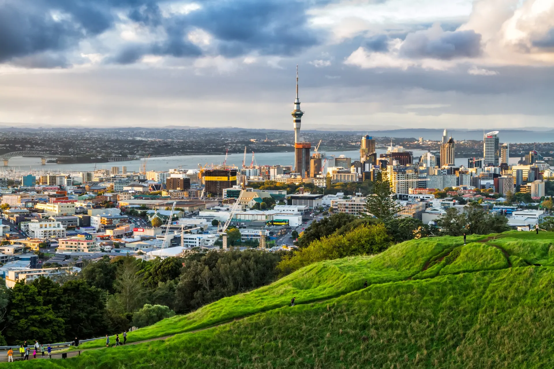 New Zealand skyline